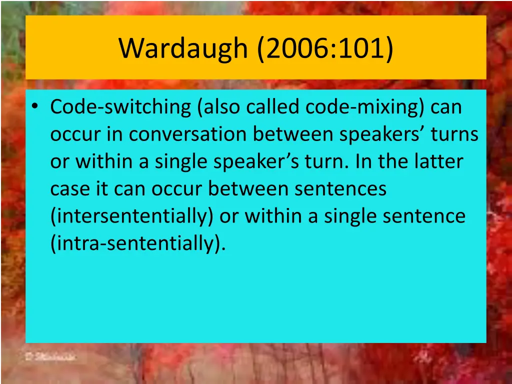 wardaugh 2006 101