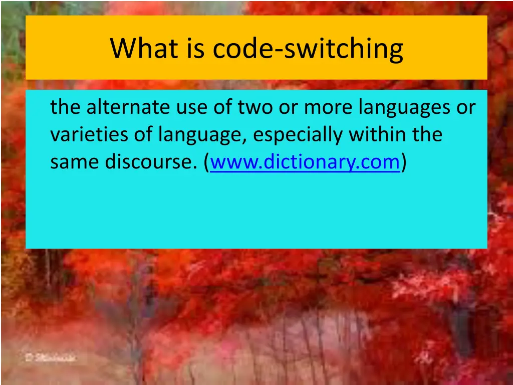 what is code switching