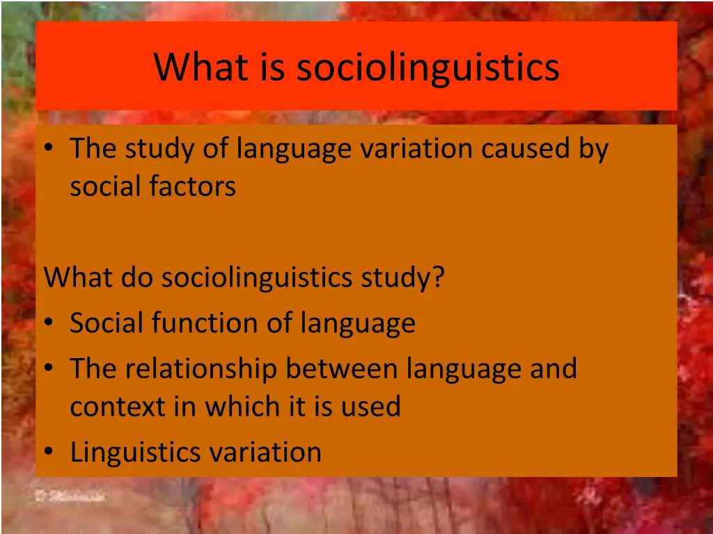 what is sociolinguistics