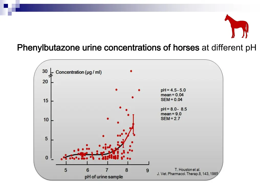 phenylbutazone phenylbutazone urine