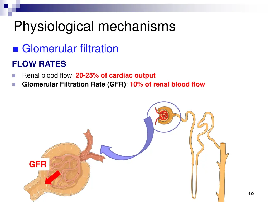 physiological mechanisms 3