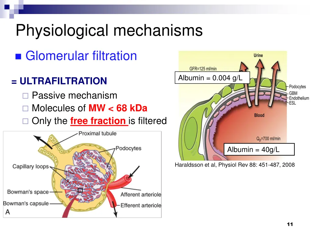 physiological mechanisms 4