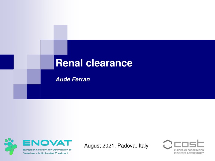 renal clearance