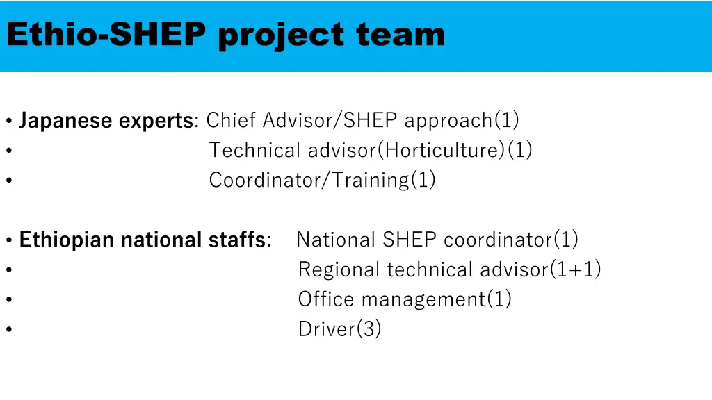 ethio shep project team