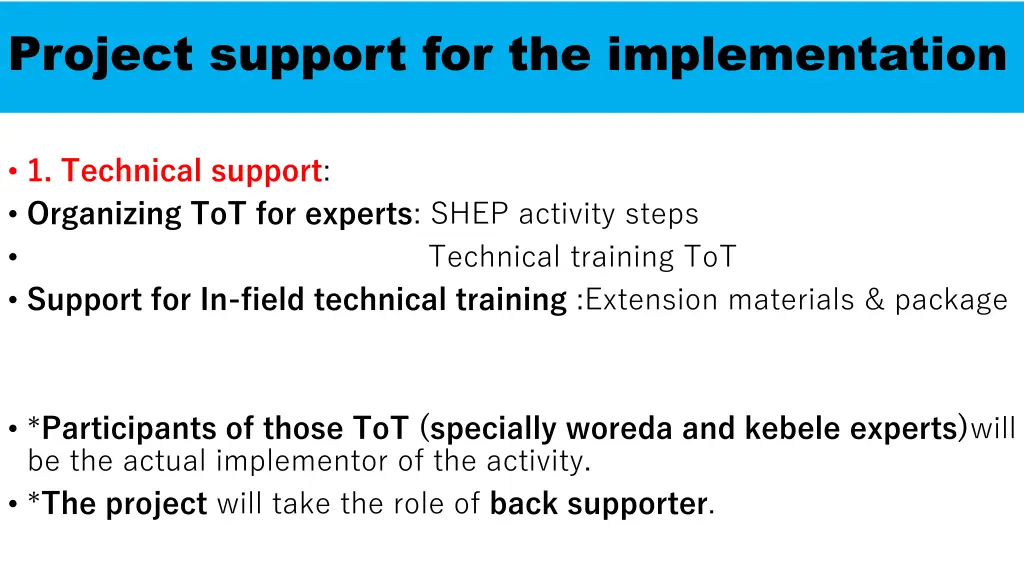 project support for the implementation