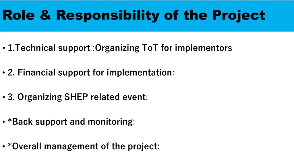 role responsibility of the project