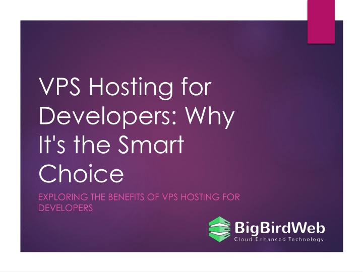 vps hosting for developers why it s the smart