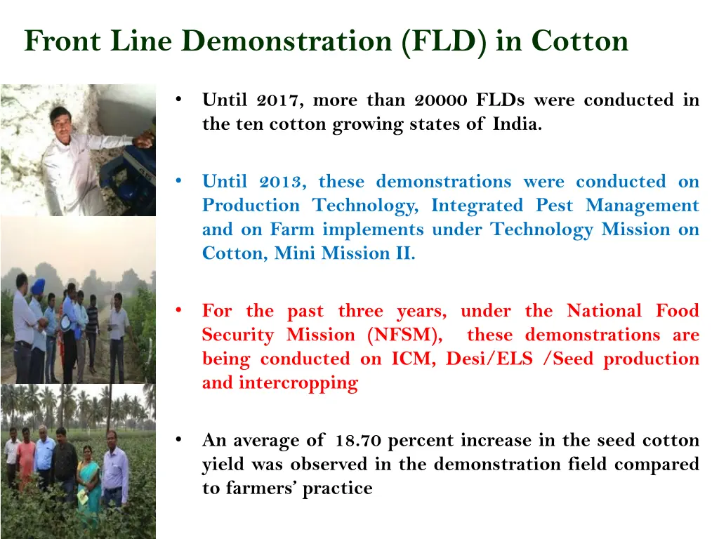 front line demonstration fld in cotton