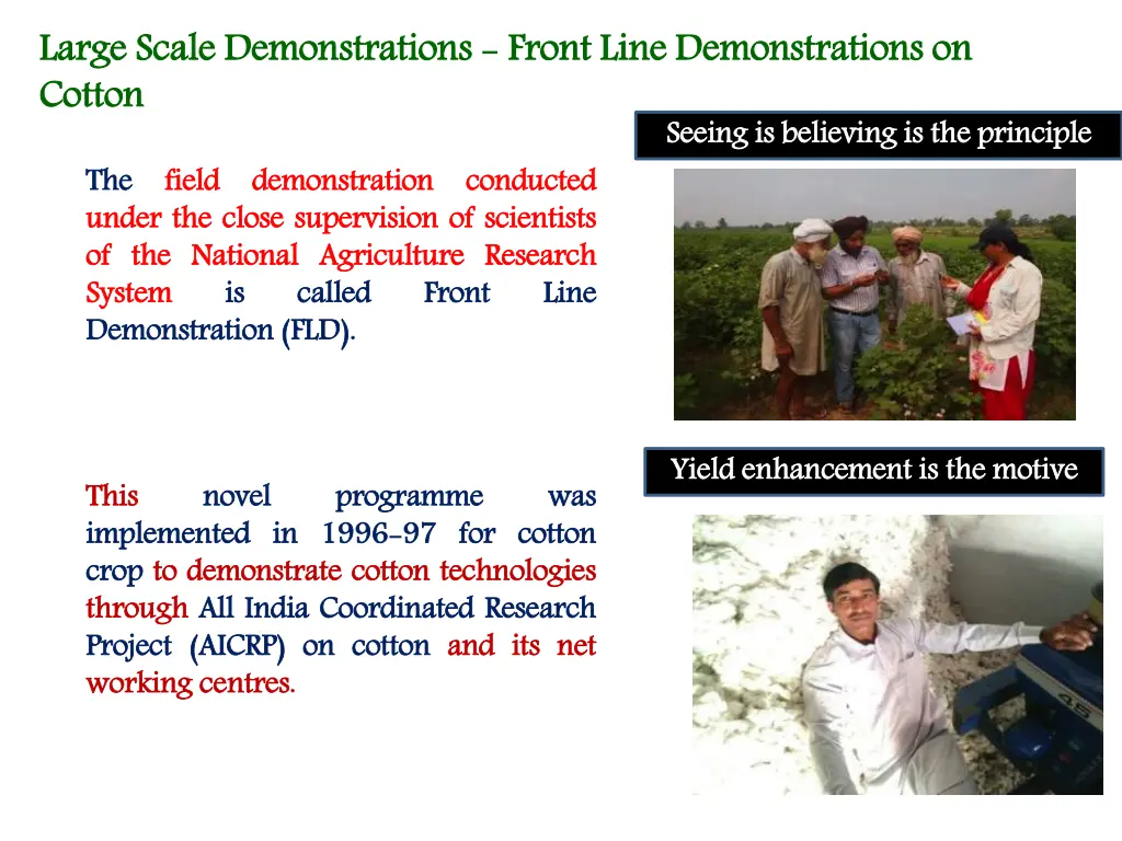 large scale demonstrations cotton