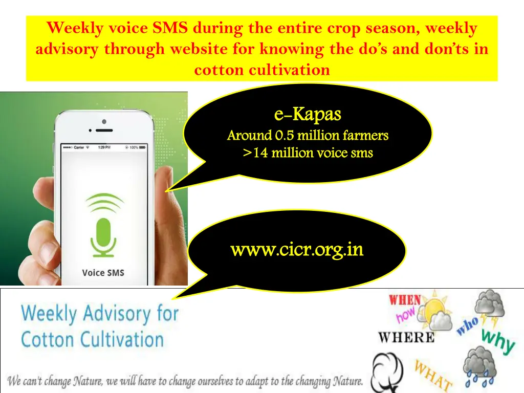 weekly voice sms during the entire crop season