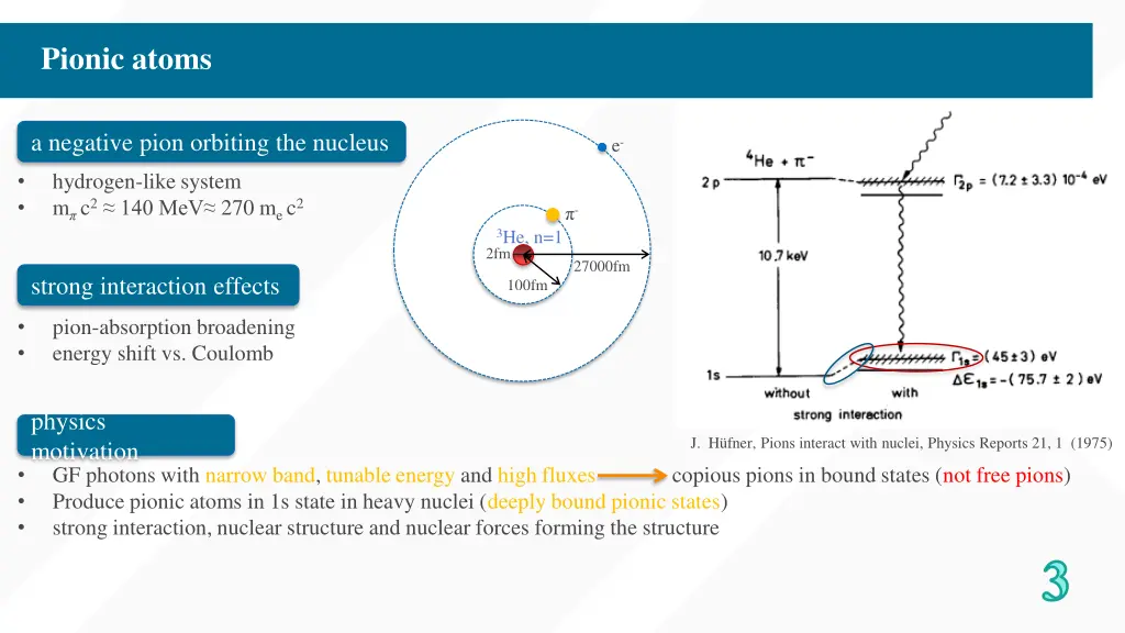 pionic atoms