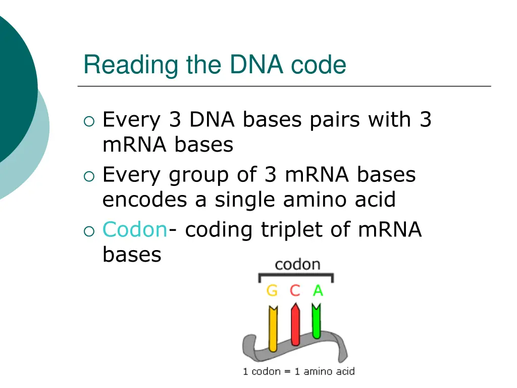 reading the dna code