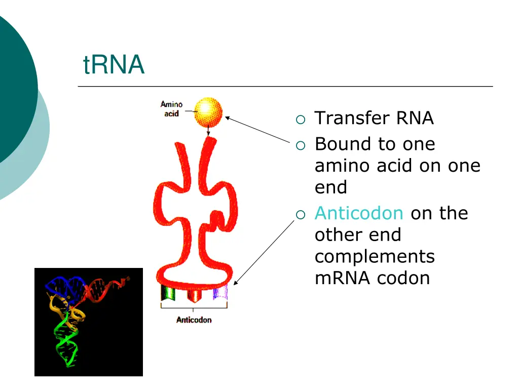 slide17