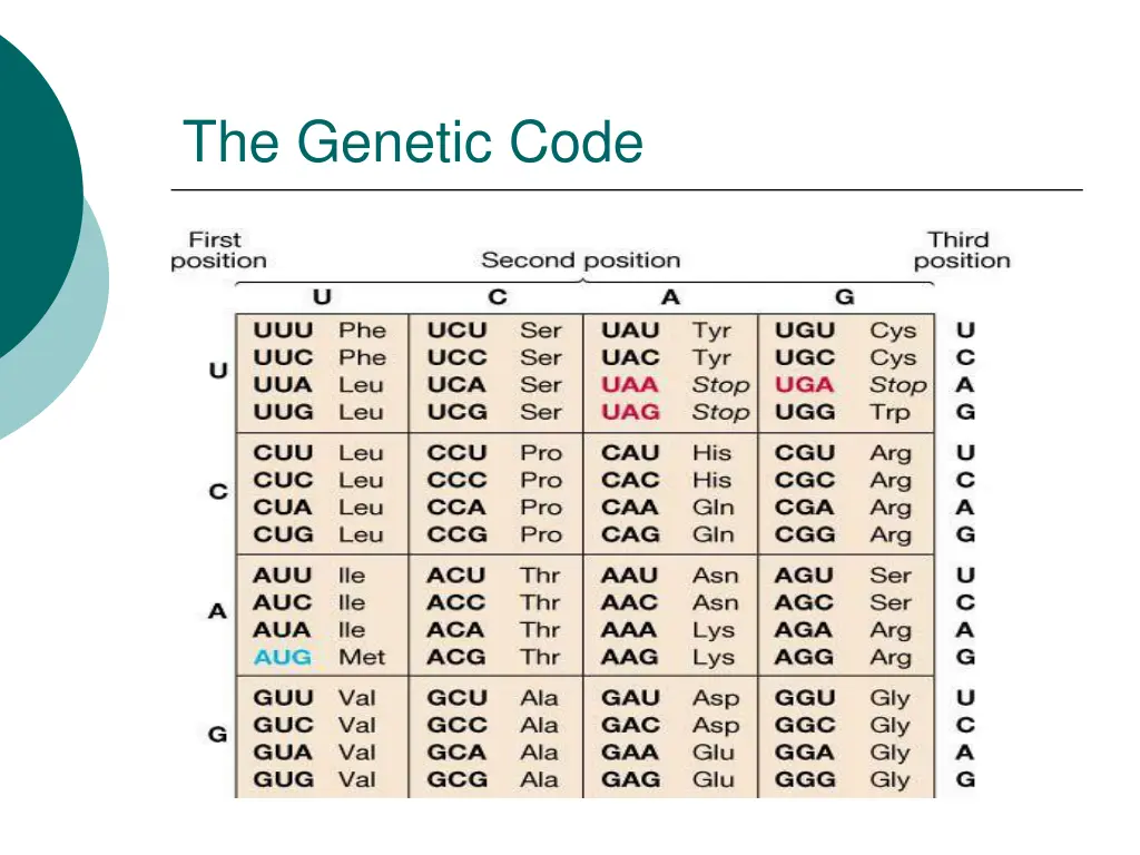 the genetic code