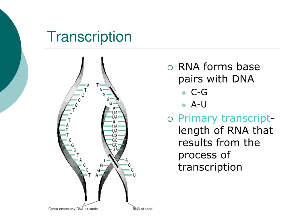 transcription