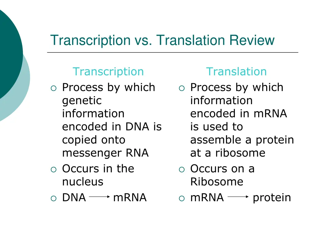 transcription vs translation review