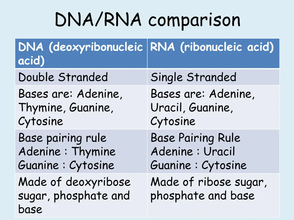 dna rna comparison