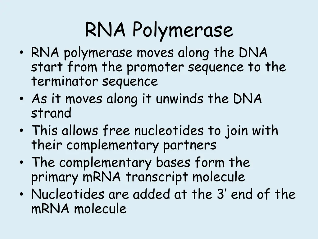 rna polymerase rna polymerase moves along