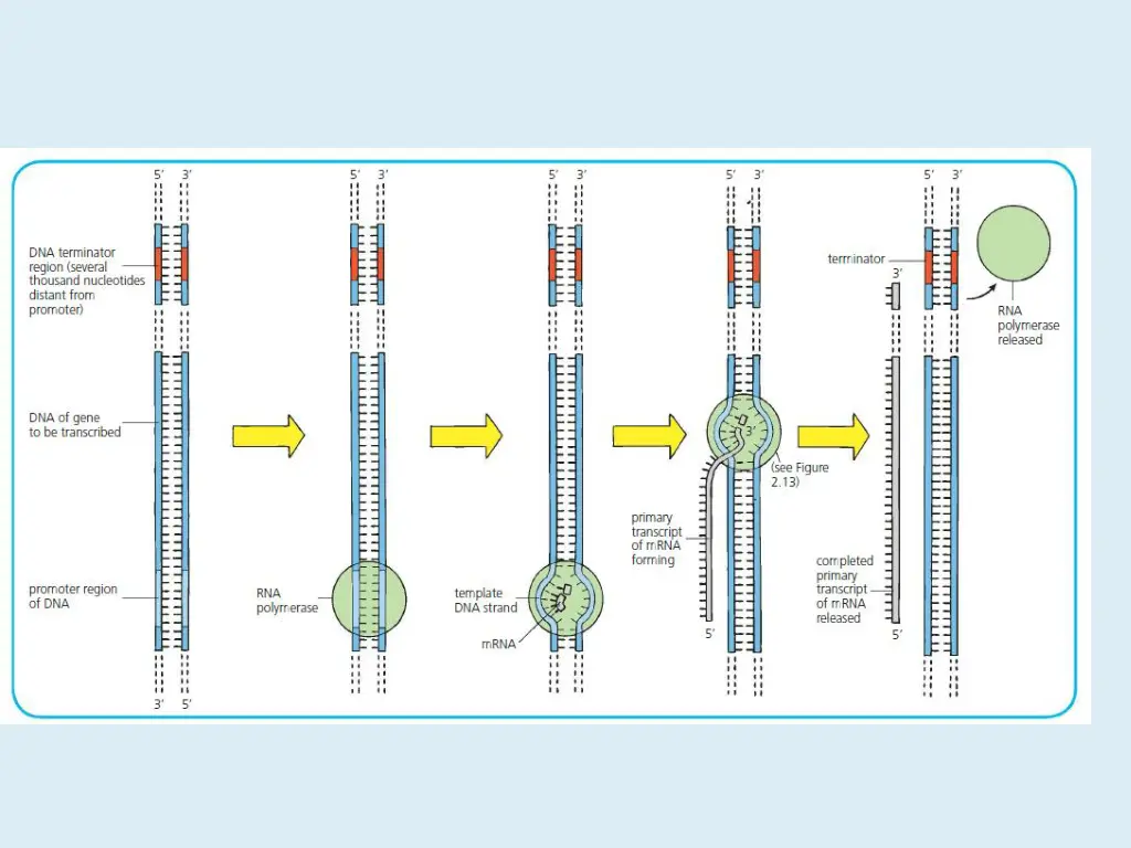 slide13