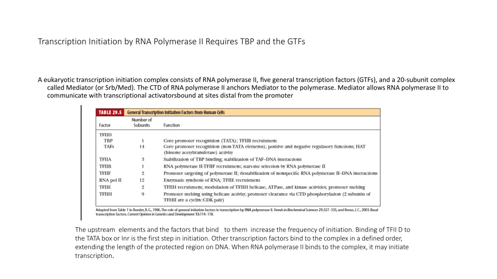 transcription initiation by rna polymerase