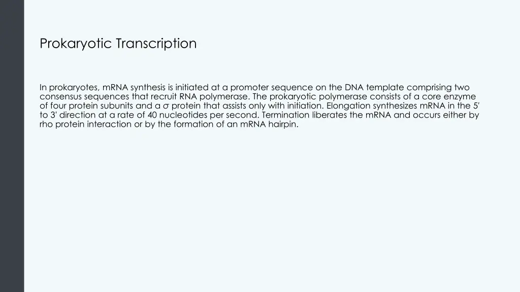 prokaryotic transcription