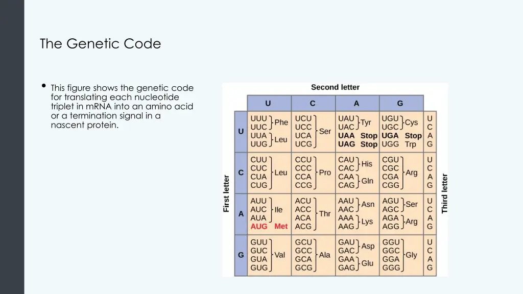 the genetic code