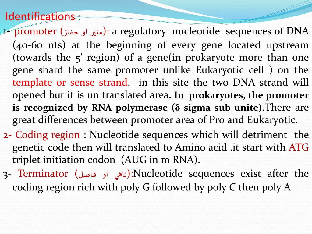 identifications 1 promoter