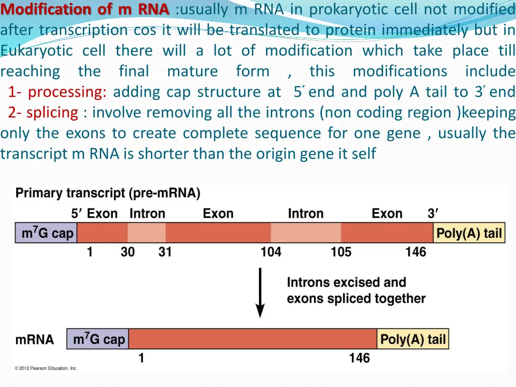 modification of m rna usually