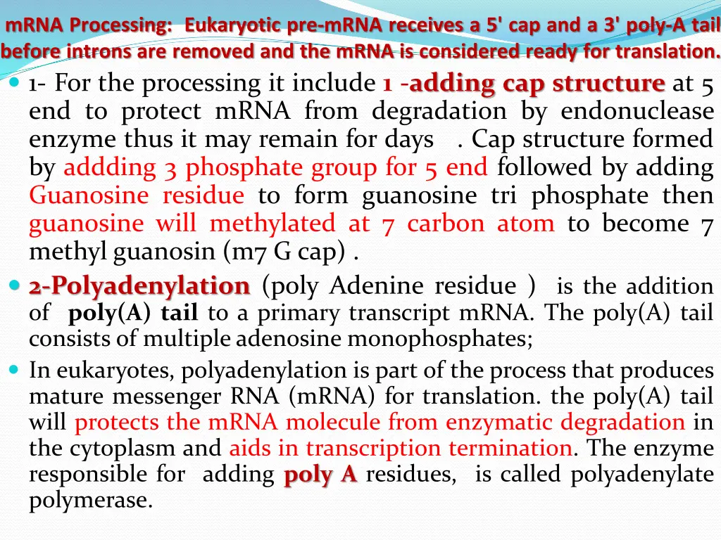 mrna processing eukaryotic pre mrna receives