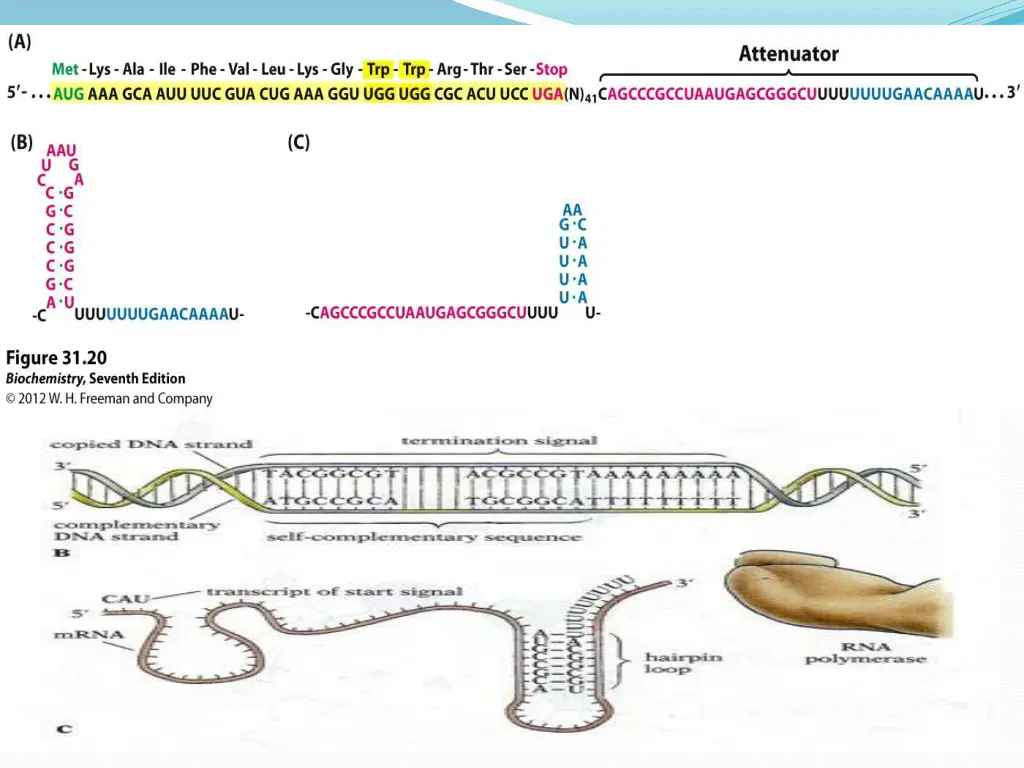 slide13