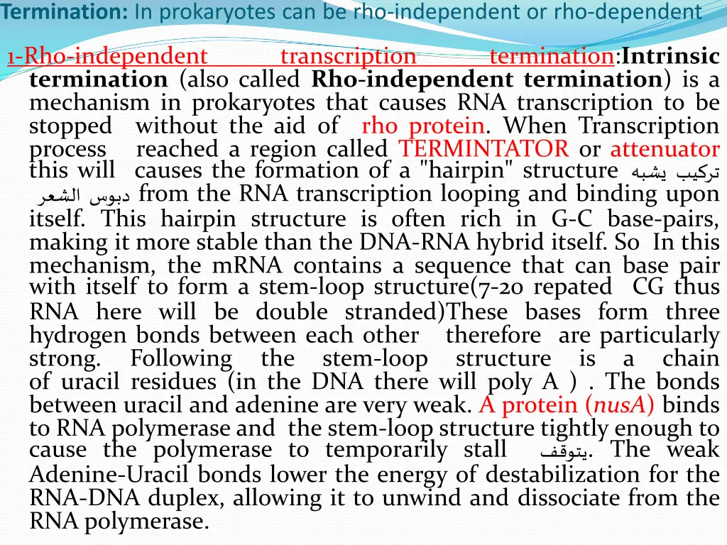 termination in prokaryotes can be rho independent