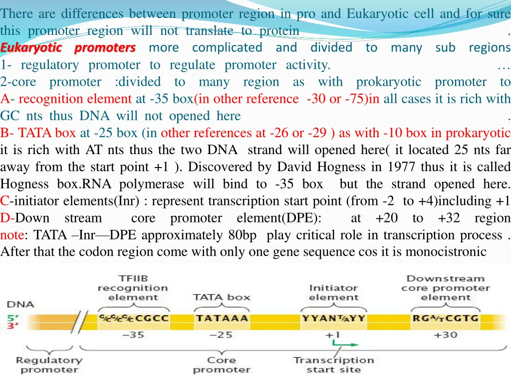 there are differences between promoter region