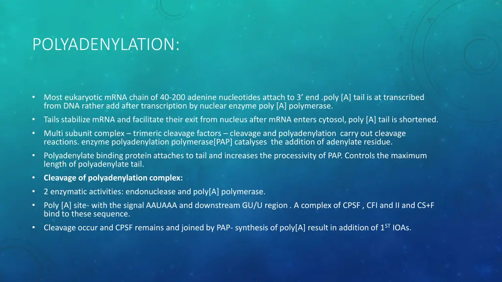 polyadenylation