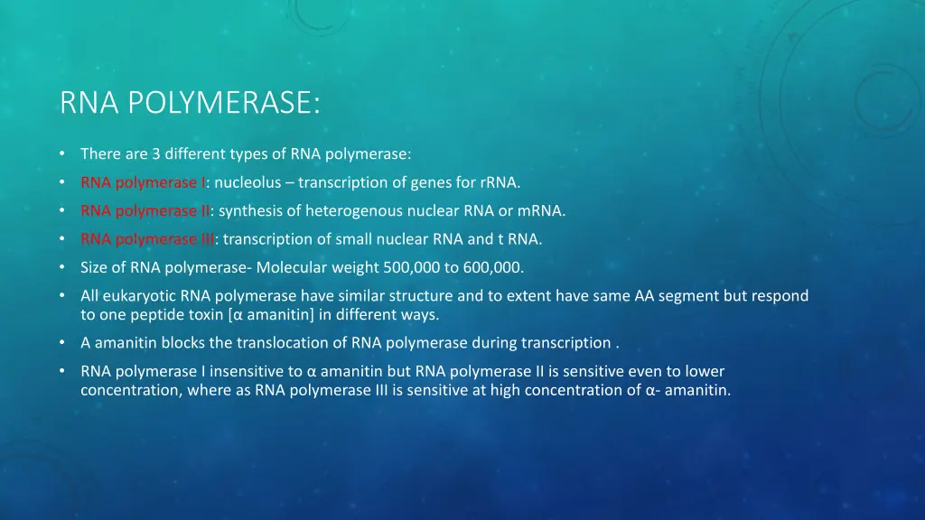 rna polymerase