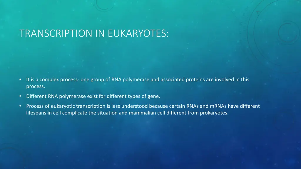 transcription in eukaryotes