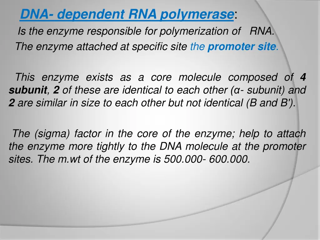 dna dependent rna polymerase is the enzyme