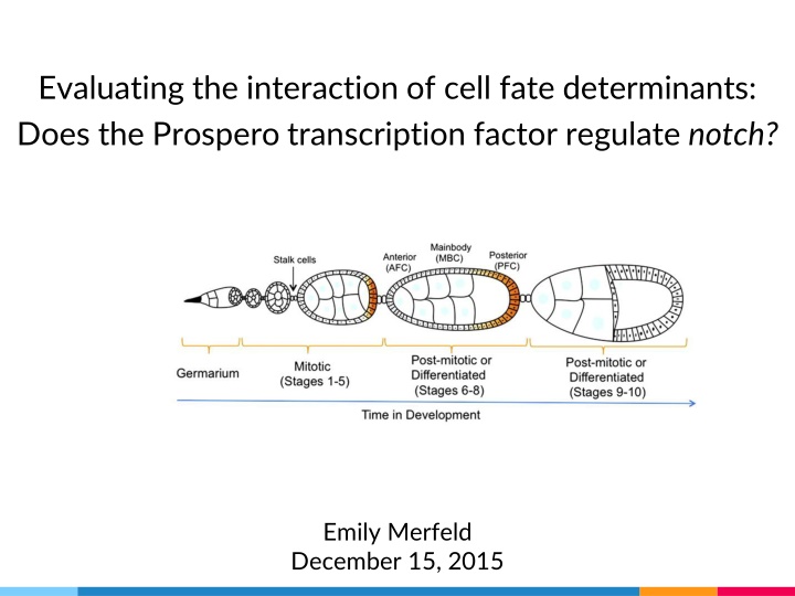 evaluating the interaction of cell fate