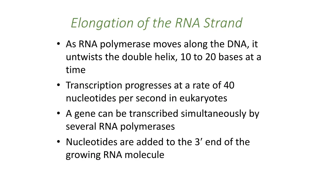 elongation of the rna strand