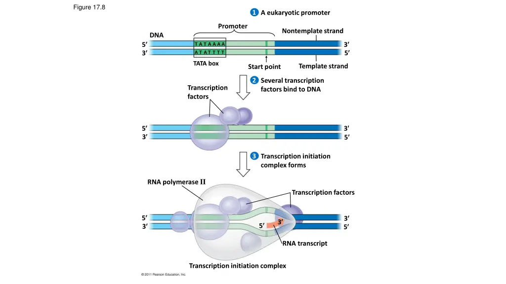 figure 17 8