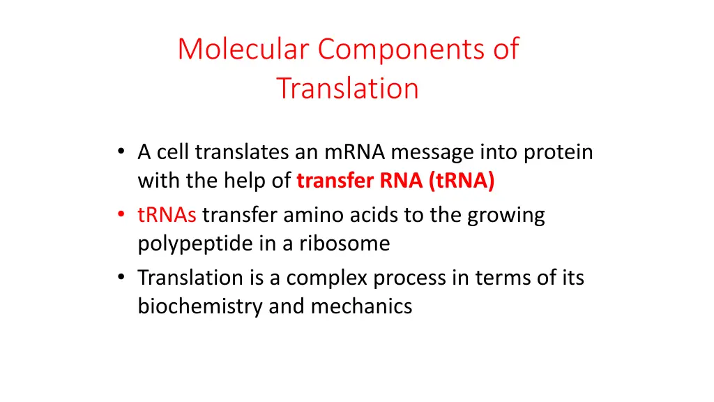 molecular components of translation