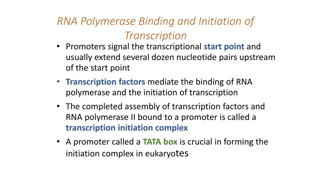 rna polymerase binding and initiation