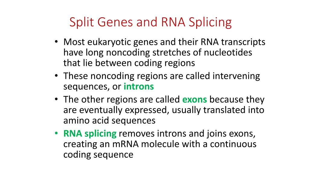 split genes and rna splicing