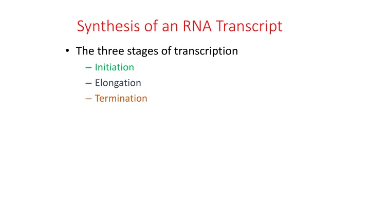 synthesis of an rna transcript