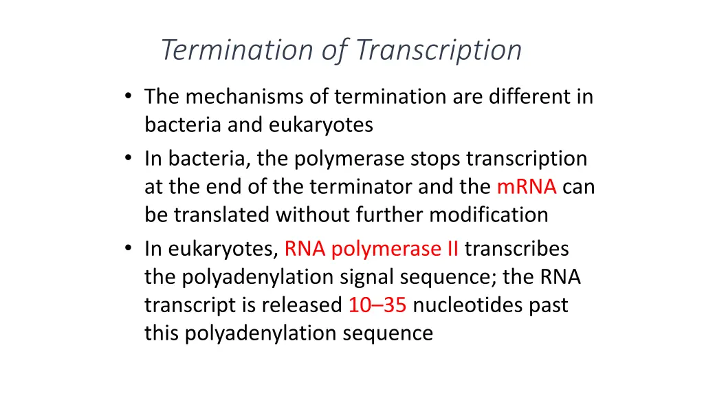 termination of transcription