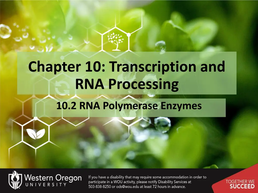 chapter 10 transcription and rna processing 1