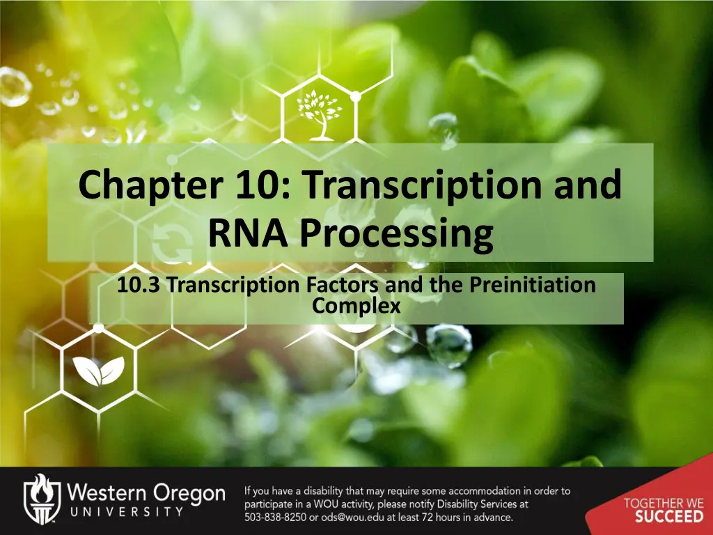 chapter 10 transcription and rna processing 2