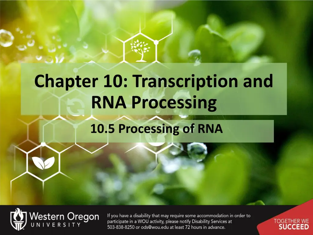 chapter 10 transcription and rna processing 4