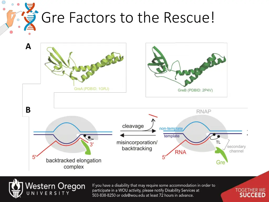 gre factors to the rescue