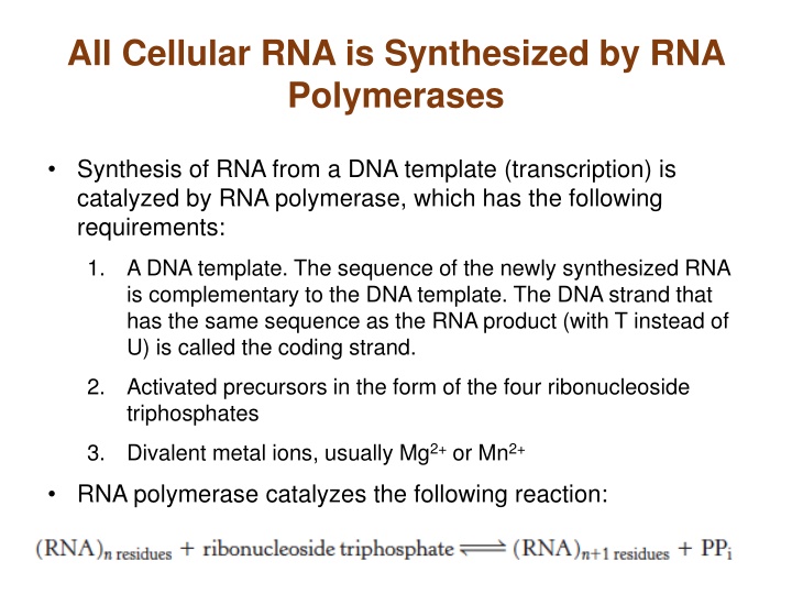 all cellular rna is synthesized by rna polymerases