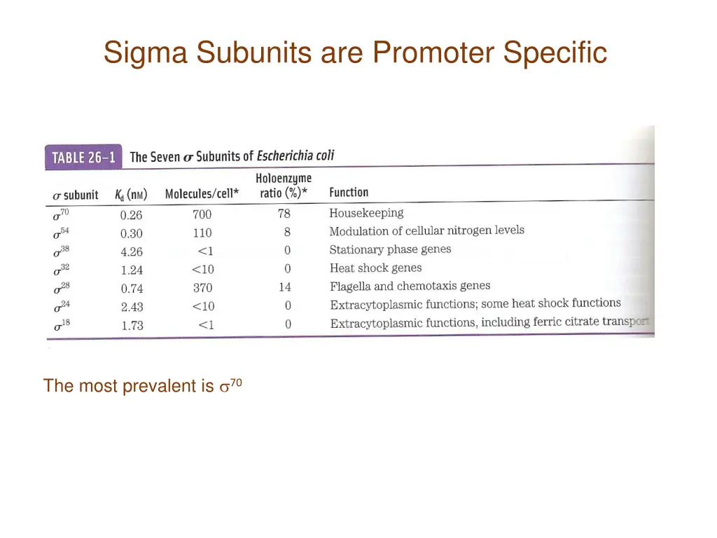 sigma subunits are promoter specific